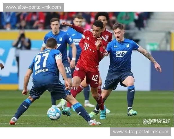 霍芬海姆3-0弗赖堡，新星马克西米利安·拜尔扛起进攻大旗